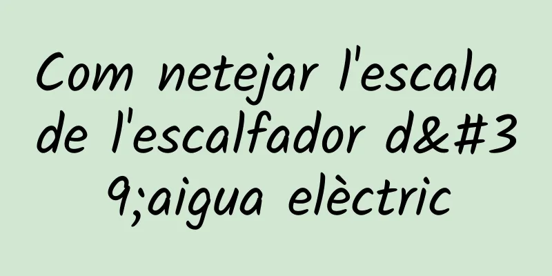 Com netejar l'escala de l'escalfador d'aigua elèctric