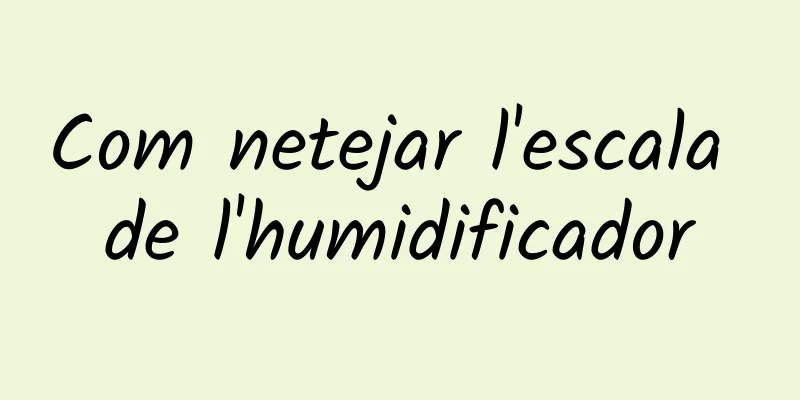 Com netejar l'escala de l'humidificador