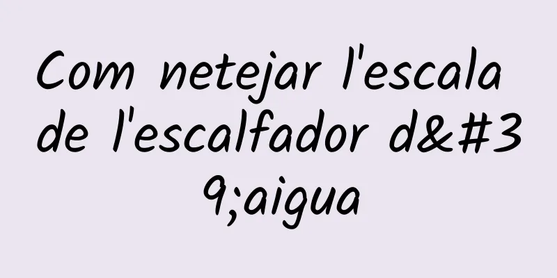 Com netejar l'escala de l'escalfador d'aigua