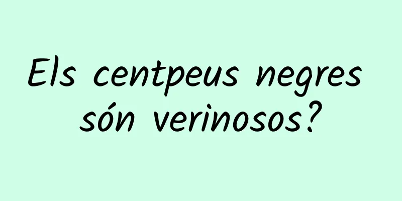 Els centpeus negres són verinosos?