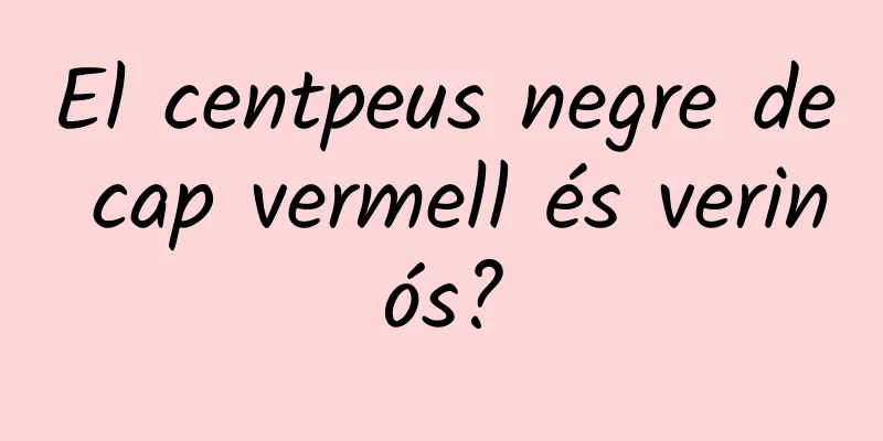 El centpeus negre de cap vermell és verinós?