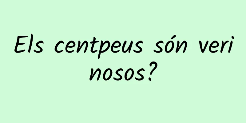 Els centpeus són verinosos?