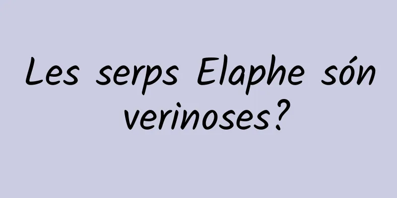 Les serps Elaphe són verinoses?