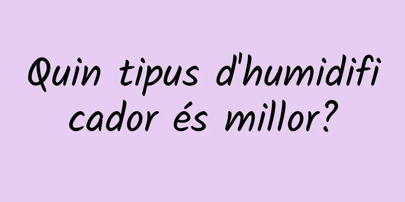 Quin tipus d'humidificador és millor?