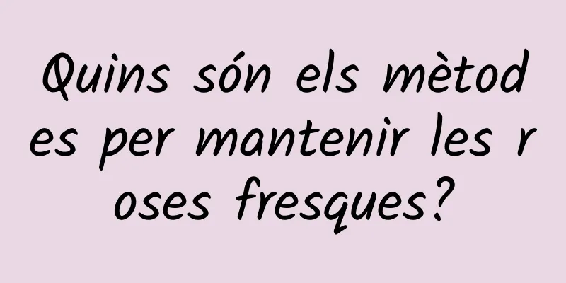 Quins són els mètodes per mantenir les roses fresques?