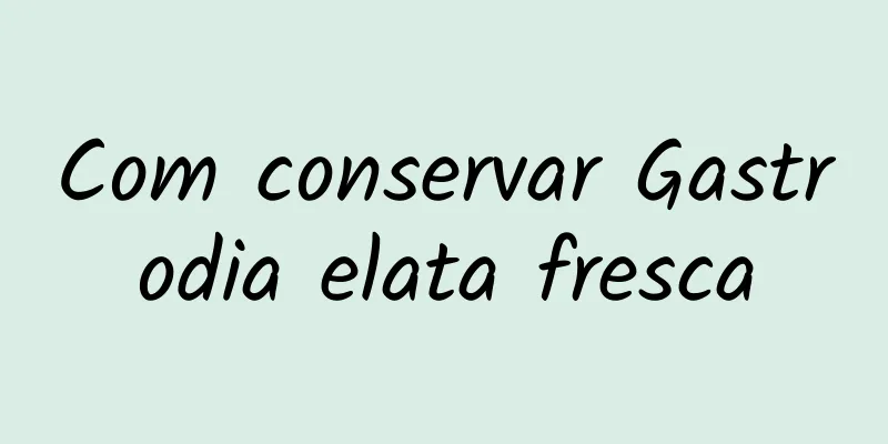 Com conservar Gastrodia elata fresca