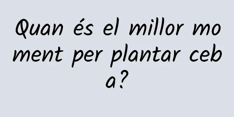 Quan és el millor moment per plantar ceba?