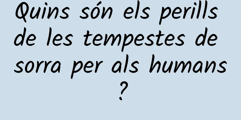 Quins són els perills de les tempestes de sorra per als humans?