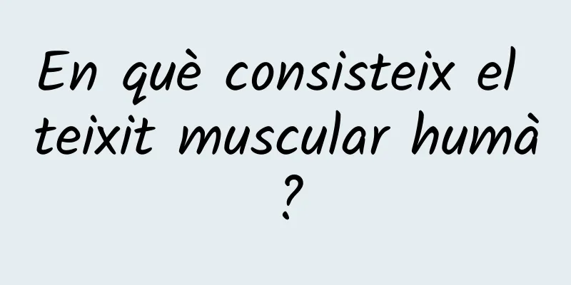 En què consisteix el teixit muscular humà?