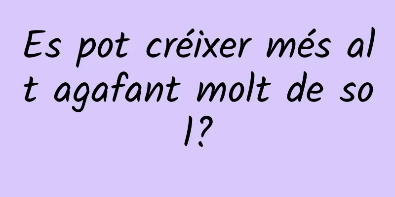 Es pot créixer més alt agafant molt de sol?
