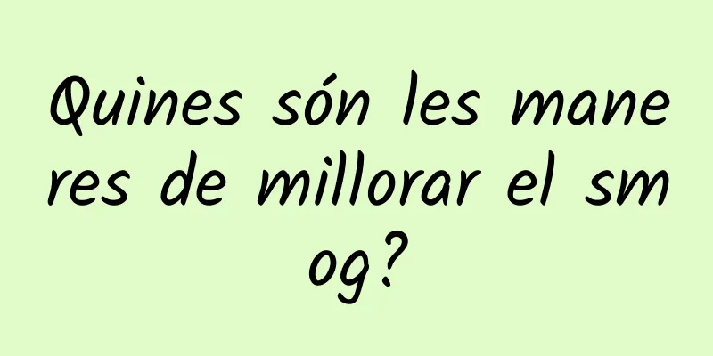 Quines són les maneres de millorar el smog?