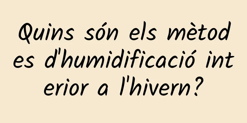 Quins són els mètodes d'humidificació interior a l'hivern?