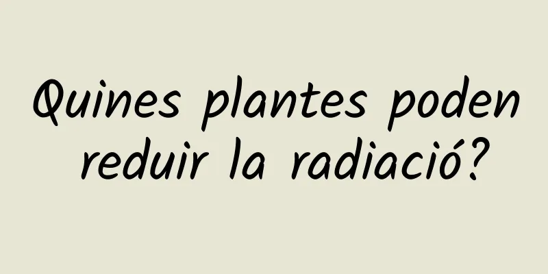 Quines plantes poden reduir la radiació?