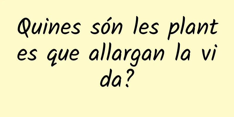 Quines són les plantes que allargan la vida?