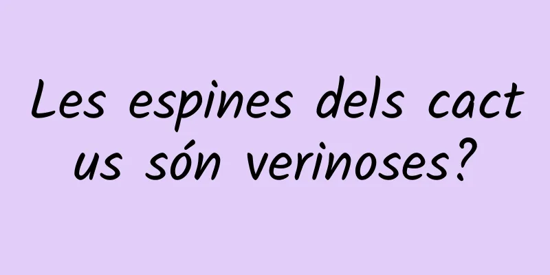 Les espines dels cactus són verinoses?