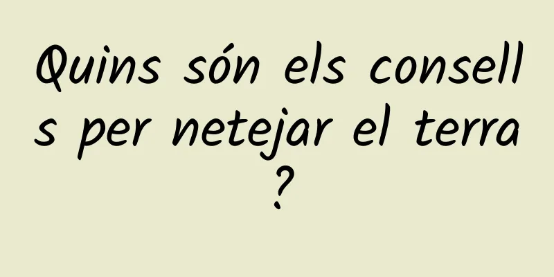 Quins són els consells per netejar el terra?