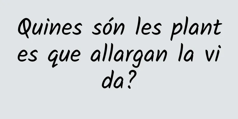 Quines són les plantes que allargan la vida?