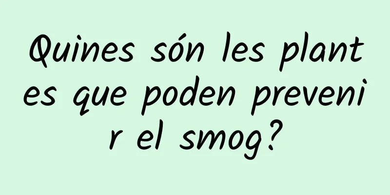 Quines són les plantes que poden prevenir el smog?