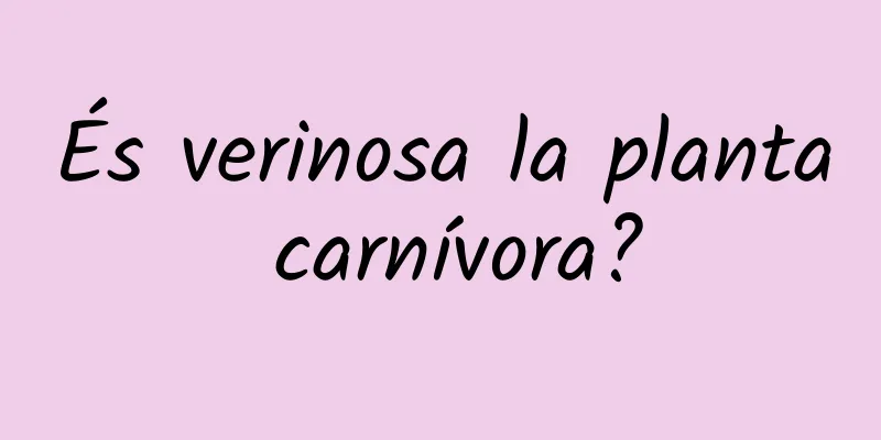 És verinosa la planta carnívora?