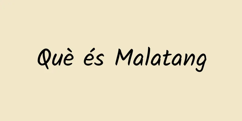 Què és Malatang