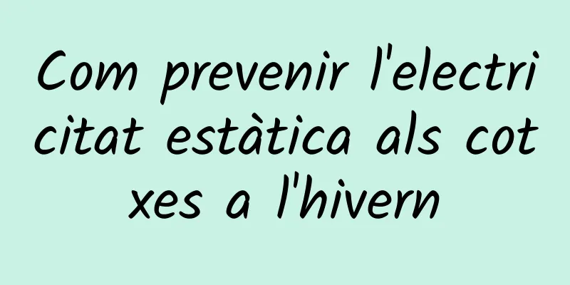 Com prevenir l'electricitat estàtica als cotxes a l'hivern