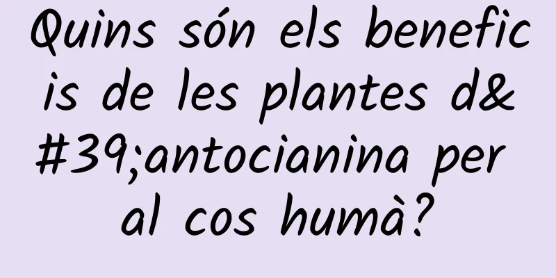 Quins són els beneficis de les plantes d'antocianina per al cos humà?