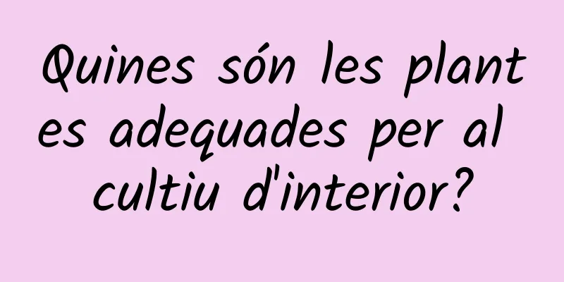 Quines són les plantes adequades per al cultiu d'interior?