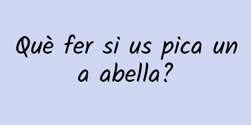 Què fer si us pica una abella?