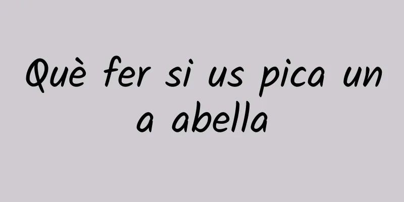 Què fer si us pica una abella