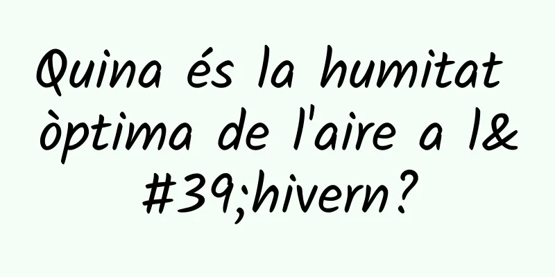 Quina és la humitat òptima de l'aire a l'hivern?