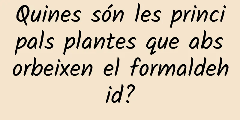Quines són les principals plantes que absorbeixen el formaldehid?