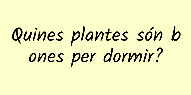 Quines plantes són bones per dormir?