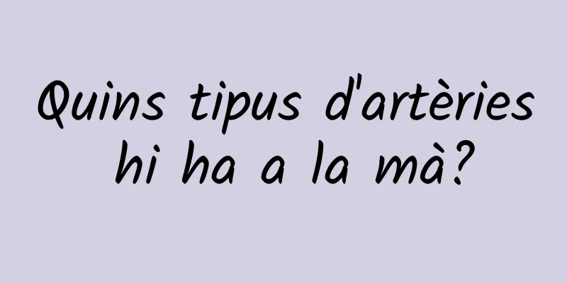 Quins tipus d'artèries hi ha a la mà?
