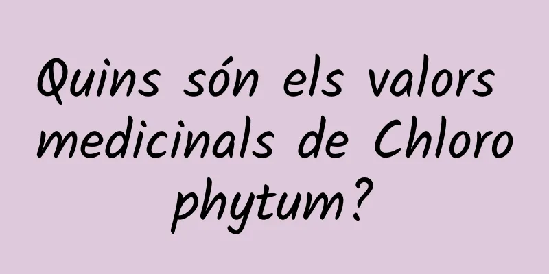 Quins són els valors medicinals de Chlorophytum?