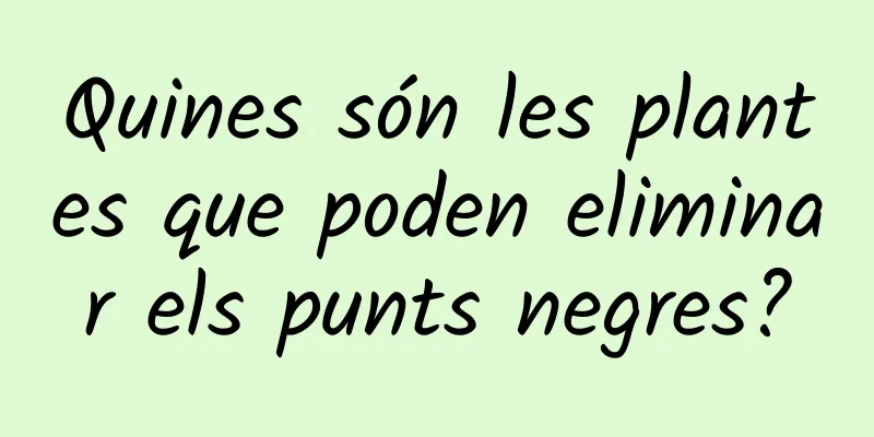 Quines són les plantes que poden eliminar els punts negres?