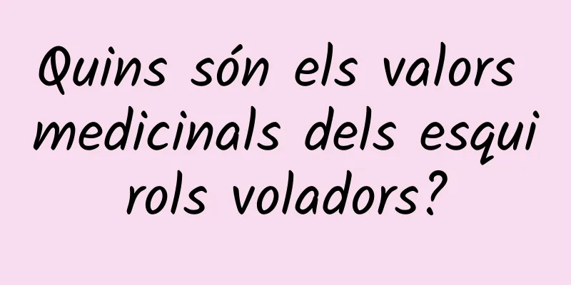 Quins són els valors medicinals dels esquirols voladors?