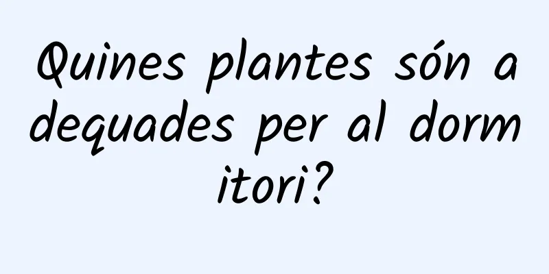 Quines plantes són adequades per al dormitori?