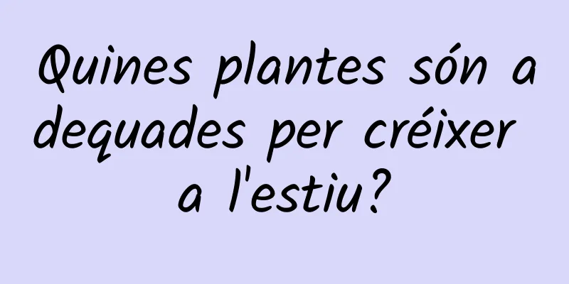 Quines plantes són adequades per créixer a l'estiu?