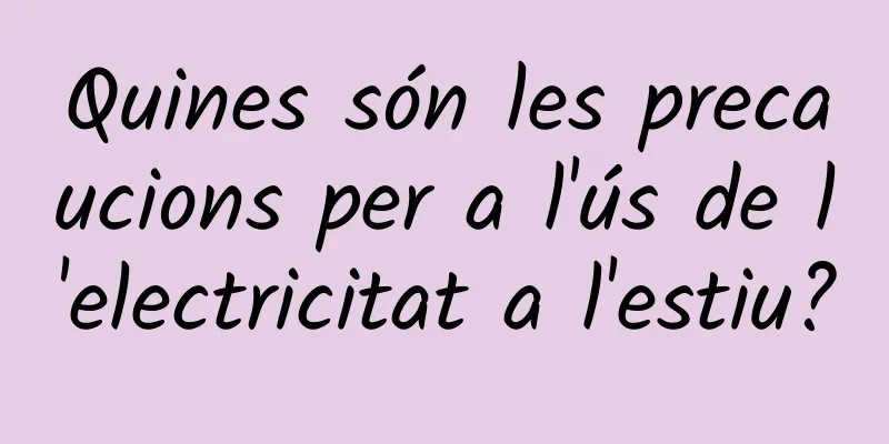 Quines són les precaucions per a l'ús de l'electricitat a l'estiu?