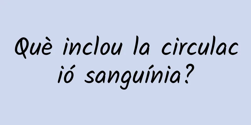 Què inclou la circulació sanguínia?