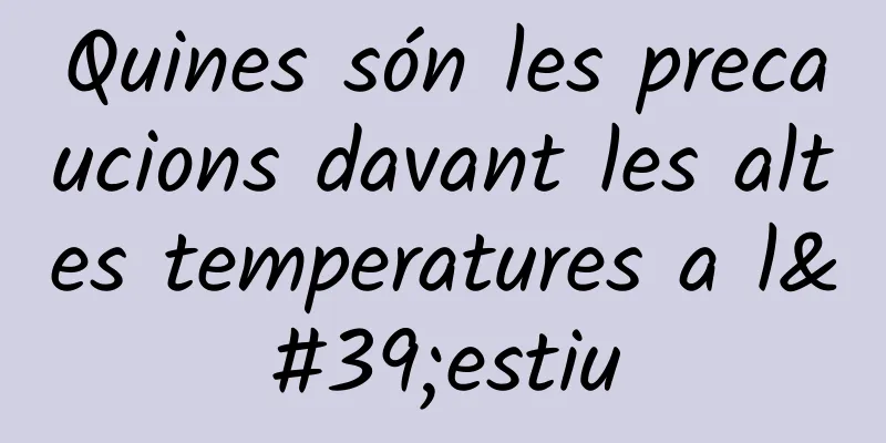 Quines són les precaucions davant les altes temperatures a l'estiu
