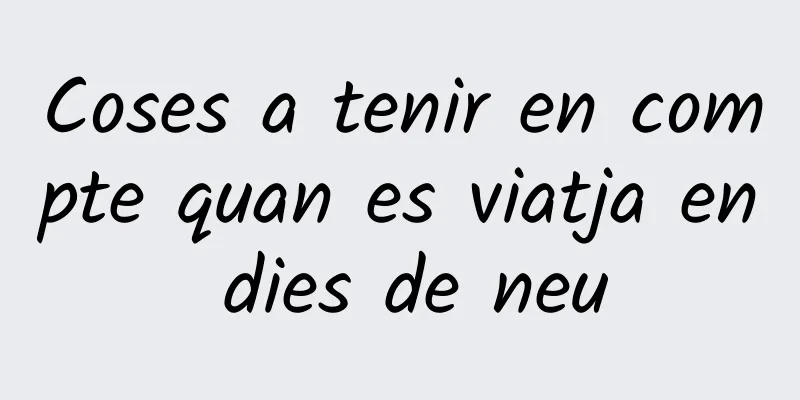 Coses a tenir en compte quan es viatja en dies de neu