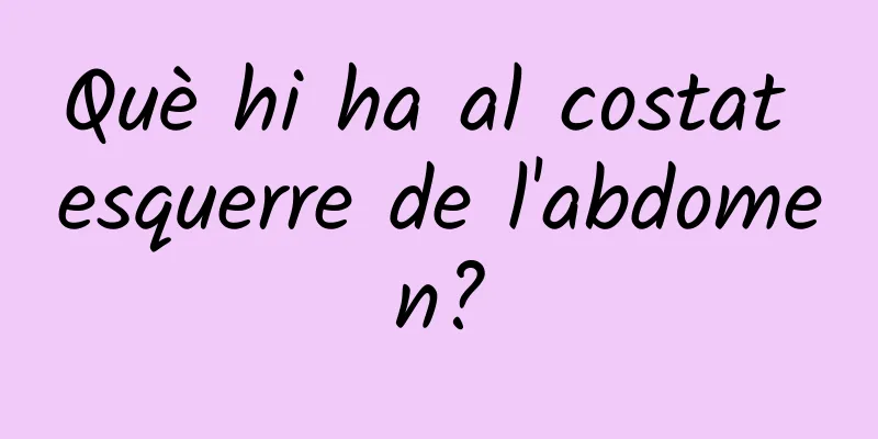 Què hi ha al costat esquerre de l'abdomen?
