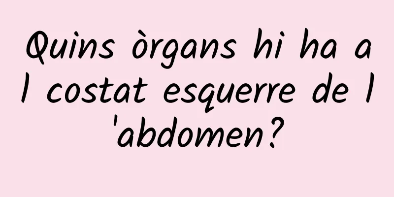 Quins òrgans hi ha al costat esquerre de l'abdomen?