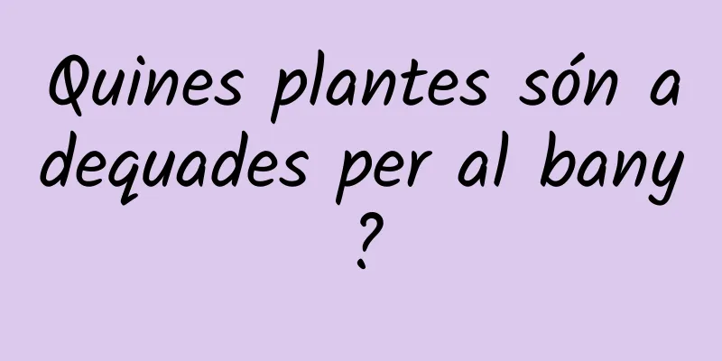 Quines plantes són adequades per al bany?