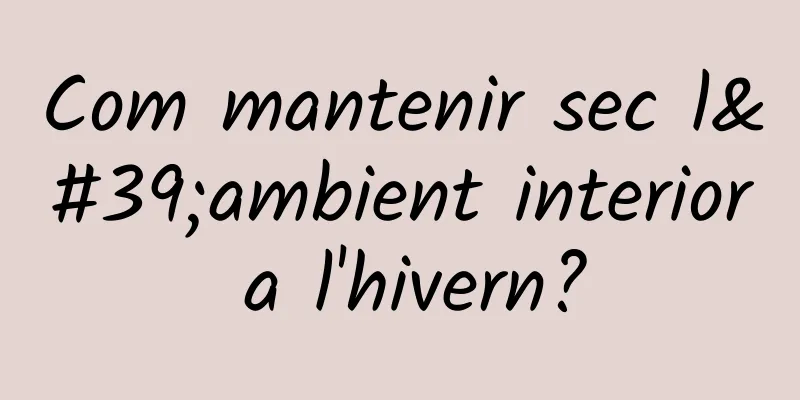 Com mantenir sec l'ambient interior a l'hivern?