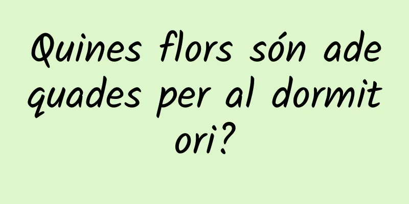 Quines flors són adequades per al dormitori?