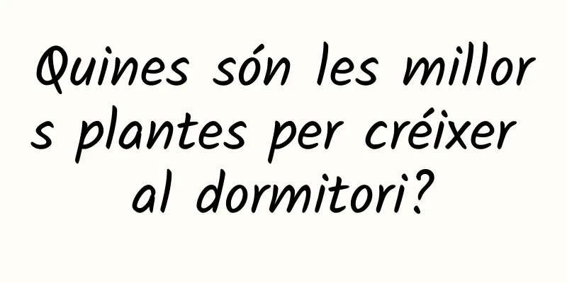 Quines són les millors plantes per créixer al dormitori?