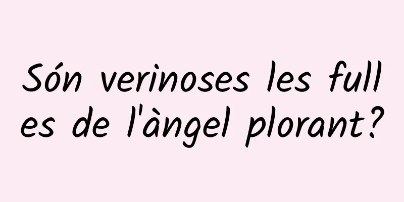 Són verinoses les fulles de l'àngel plorant?