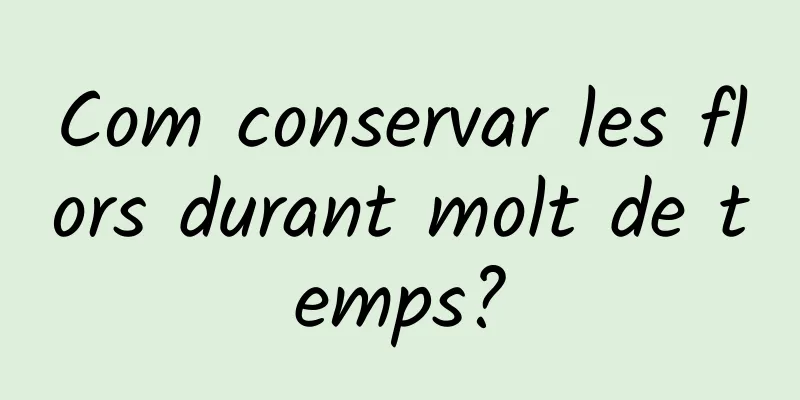 Com conservar les flors durant molt de temps?